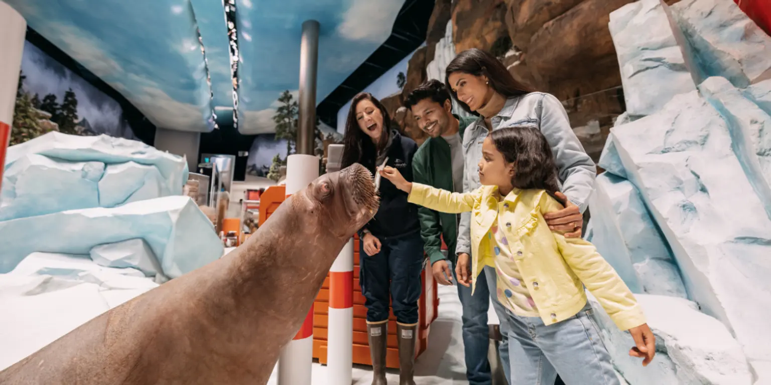 Things to do in Yas Island, Abu Dhabi